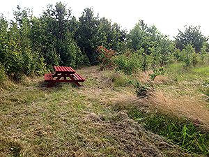 /praestelunden.jpg /praestelunden.jpg